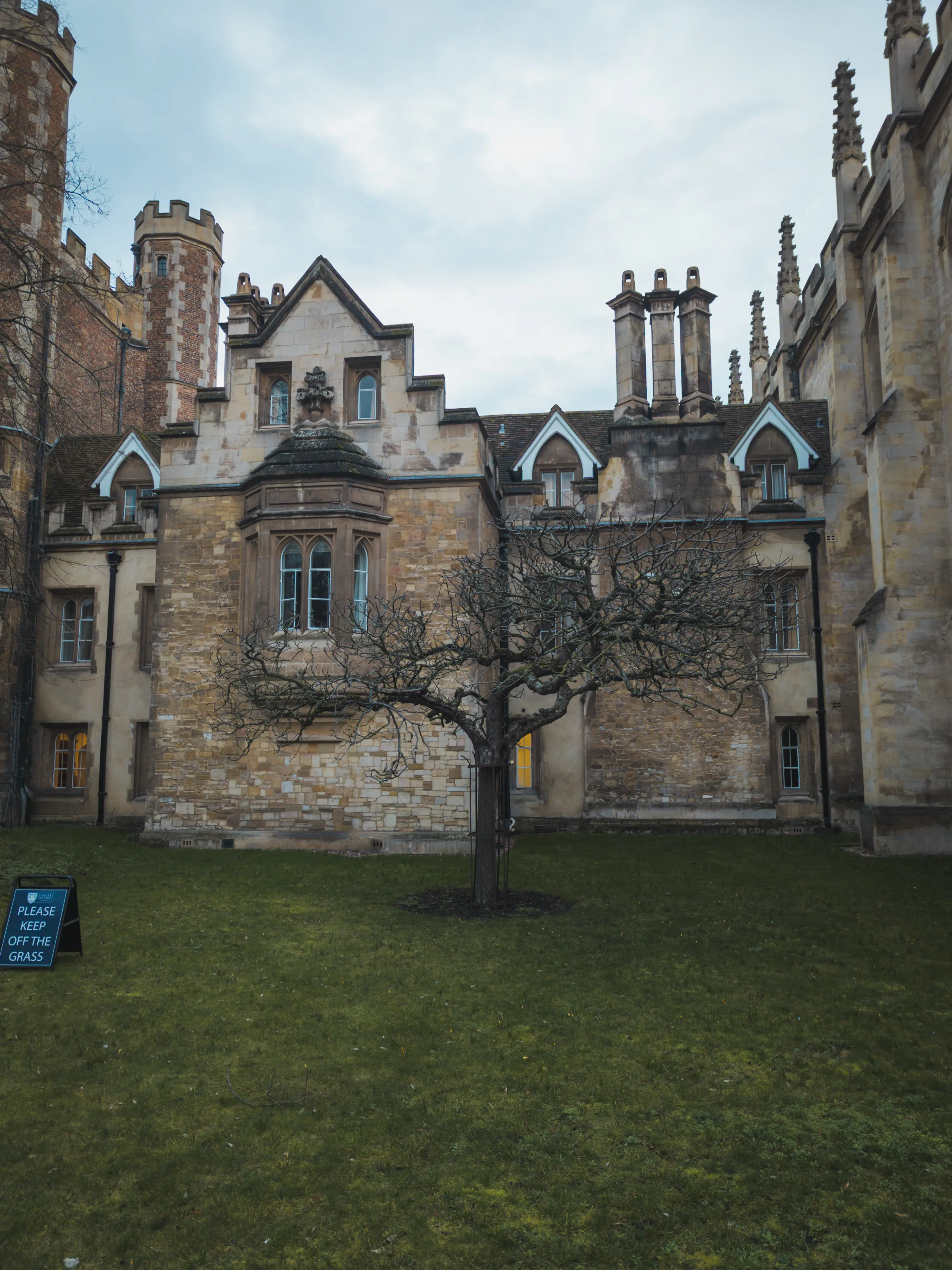 The clone of Newton's Apple Tree